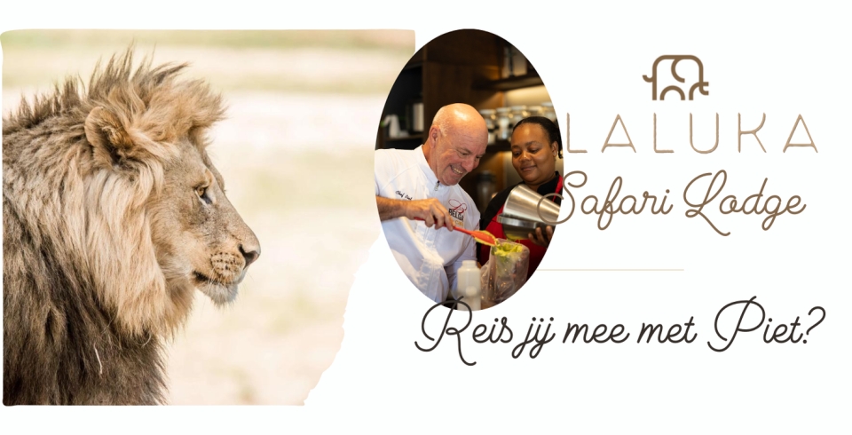 Reis mee met Piet Huysentruyt!